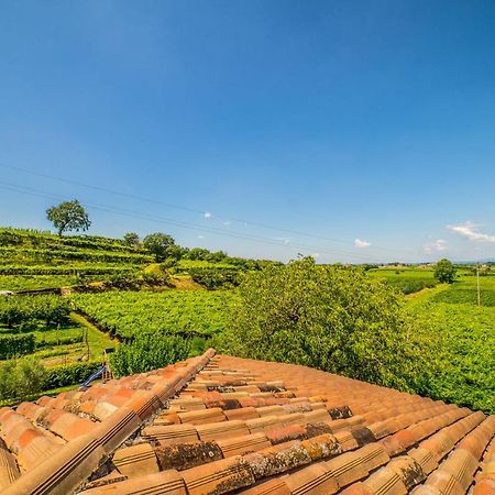 Agriturismo Corte Albarel Castelnuovo del Garda Luaran gambar