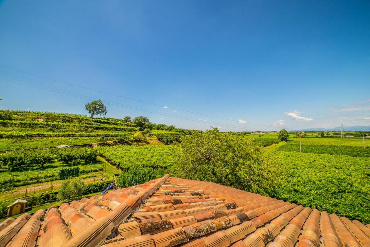 Agriturismo Corte Albarel Castelnuovo del Garda Luaran gambar