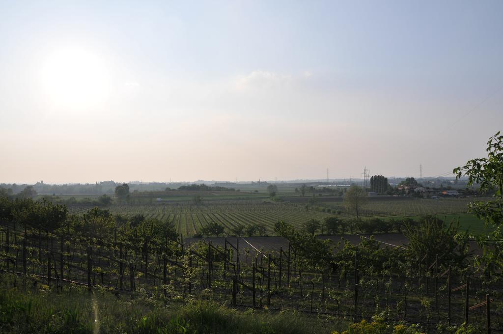 Agriturismo Corte Albarel Castelnuovo del Garda Luaran gambar